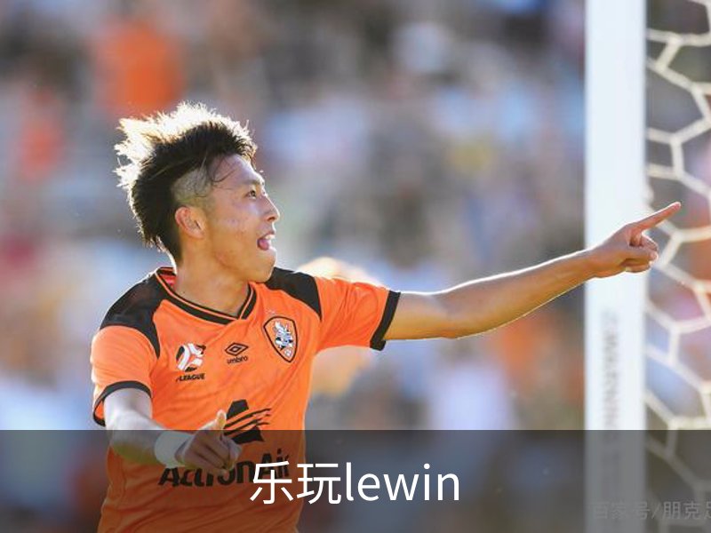 乐玩lewin概况